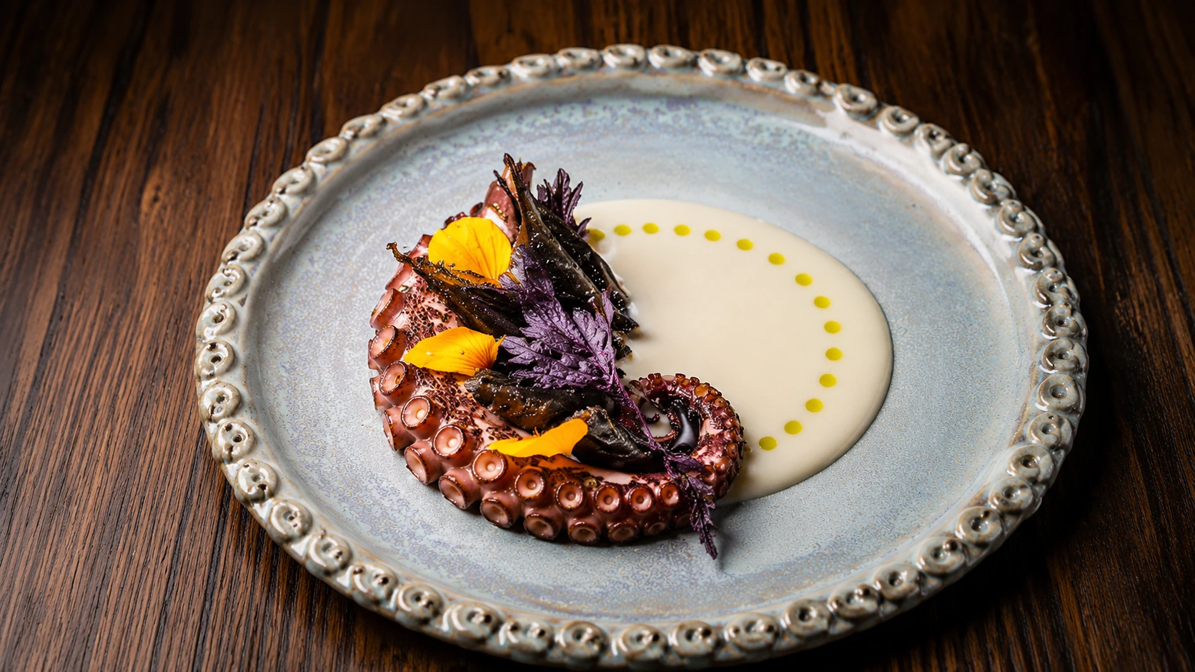 Limosneros Mexico City octopus dish with sauce on a white plate