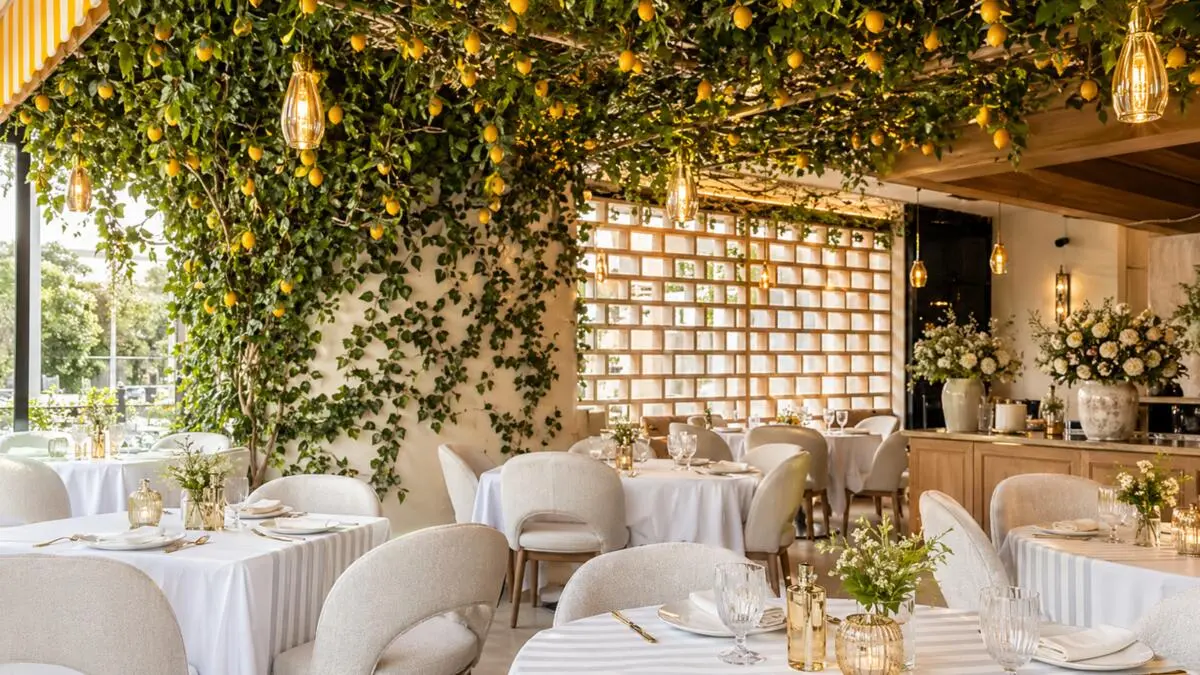 Mandolina Roma Mexico City Roma Norte brunch terrace with outdoor dining tables
